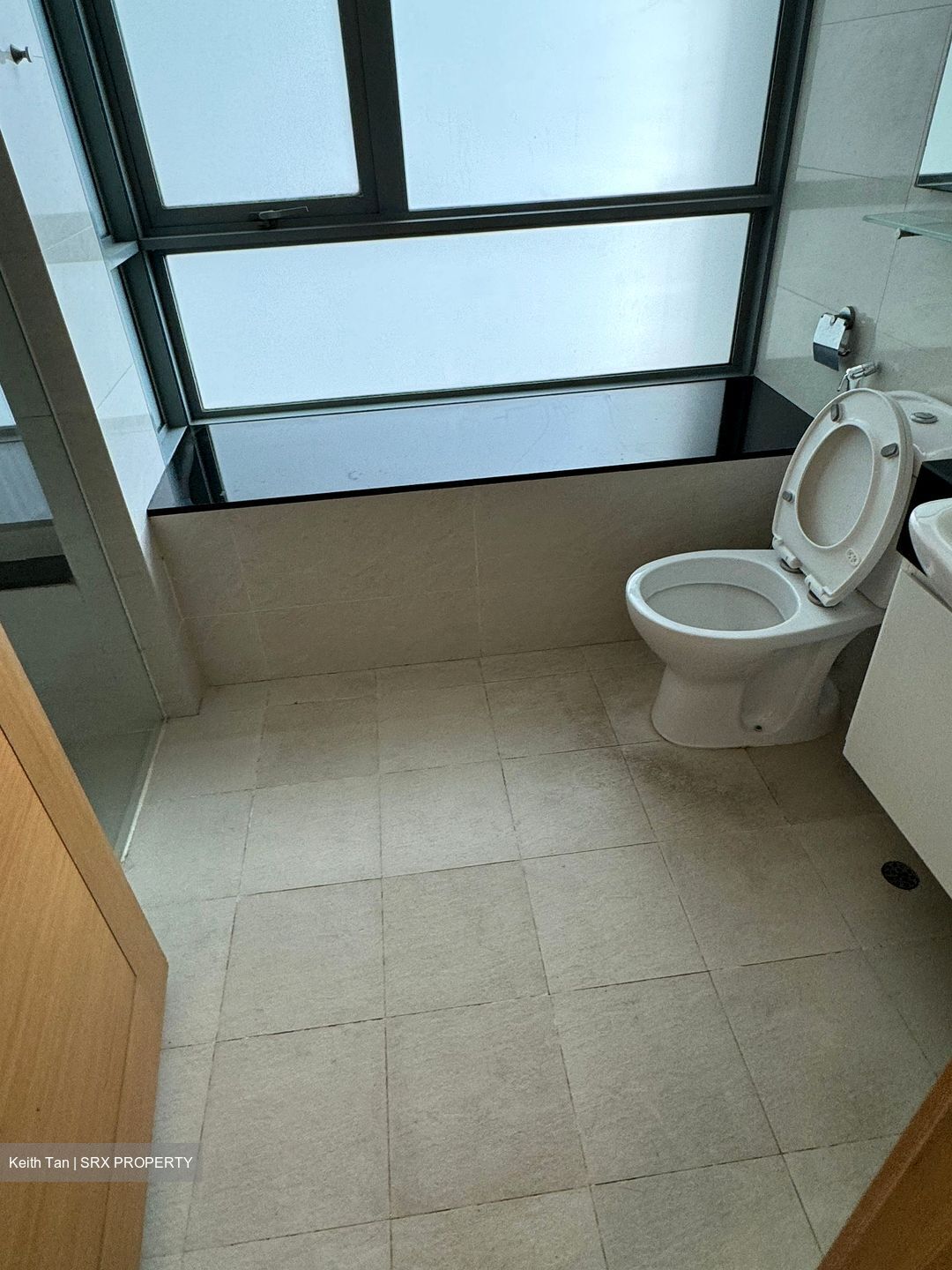 The Infiniti (D5), Condominium #485962891